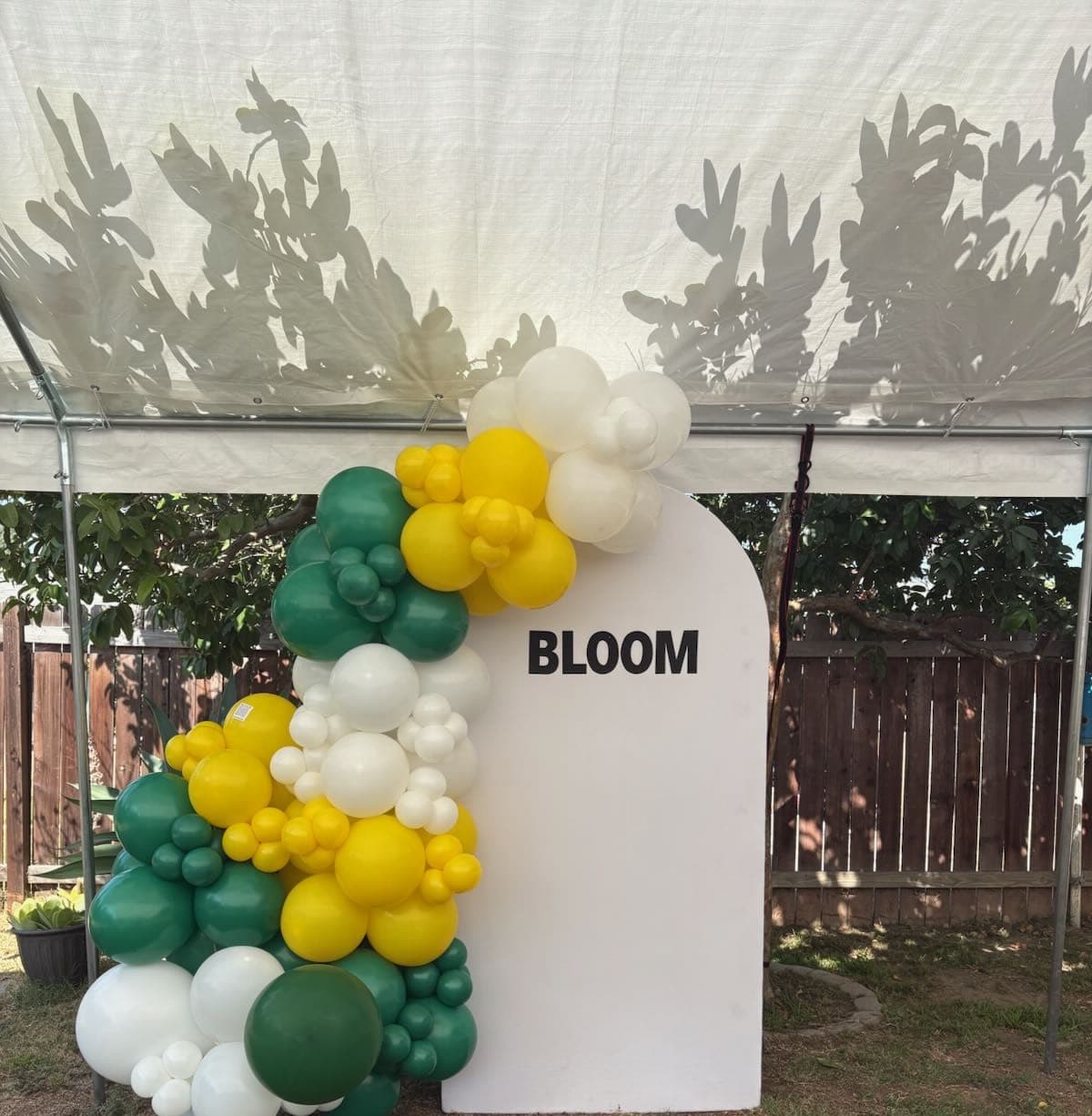 Balloon image 3